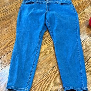 Raw 7 brand women’s jeans.  Lightweight denim, size 24.